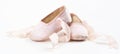 Balerina shoes Royalty Free Stock Photo