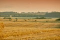 Bales of brown straw and hay on a field in the countryside with copy space at sunrise. Scenic landscape of farm in rural Royalty Free Stock Photo