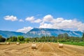 Bales of brown straw and hay rolled into bundles on field against a mountain and blue sky background. Scenic landscape Royalty Free Stock Photo