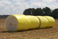 Bales of cotton line a field