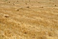 Bales of golden straw