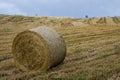 Bales on harvested field