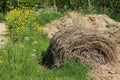 Blooming coleseed and cow parsley and bales of hay in the park in spring.