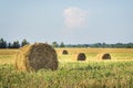 Bales of hay on a chamfered golden field after harvesting grain crops. Royalty Free Stock Photo