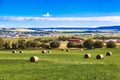 Bales of hay on farm in Dawson Creek