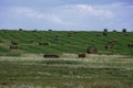 Bales of Hay on a farm field in Alberta After Harvest Royalty Free Stock Photo