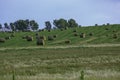 Bales of Hay on a farm field in Alberta After Harvest Royalty Free Stock Photo