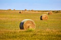 Bales of hay in farm field in country Royalty Free Stock Photo