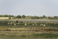 Bales of Hay on farm field after harvest Royalty Free Stock Photo