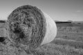 Bales of hay on a farm in Kwa Zulu Natal Royalty Free Stock Photo