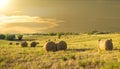 Bales of hay on a farm at sunset Royalty Free Stock Photo