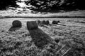 Bales of Hay in a Field - Black and White Royalty Free Stock Photo