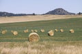 Bales of Hay in Field with Center Pivot Behind