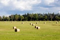 Bales of hay on the field after the harvest, Rural landscape on a green field Royalty Free Stock Photo