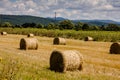 Bales of hay Royalty Free Stock Photo