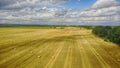 Bales of hay in the field. A stack of hay. Straw in the meadow