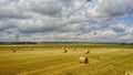 Bales of hay in the field. A stack of hay. Straw in the meadow. Wheat harvest in summer Royalty Free Stock Photo