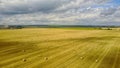 Bales of hay in the field. A stack of hay. Straw in the meadow. Wheat harvest in summer