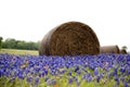 Bales of hay in a field of wildflowers