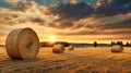 Bales of hay in a golden field country landscape shot during sunrise . A.I. generated Royalty Free Stock Photo