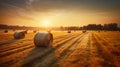 Bales of hay in a golden field country landscape shot during sunrise or sunset. Royalty Free Stock Photo