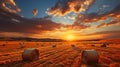 Bales of hay in a golden wheat field landscape shot during sunrise or sunset. AI Generated. Royalty Free Stock Photo