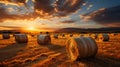 Bales of hay in a golden wheat field landscape shot during sunrise or sunset. AI Generated Royalty Free Stock Photo