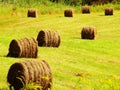 Bales Hay Harvest Farm Farming Agriculture Growing Field Grass Rustic Rural Countryside