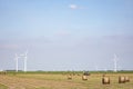 Bales of hay, harvesting, wind turbines in a landscape with trees at the horizon and blue skies, Almere, Netherlands Royalty Free Stock Photo