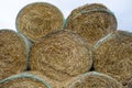 High Stack Of Round Dry Hay Bales On A Farm Field