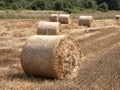 Bales of hay in the meadow, Haystacks on the field, Twisted haystack on agriculture field landscape, Round dried