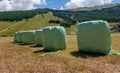 Bales of hay packed Royalty Free Stock Photo