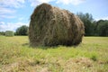 Bales of hay, packed and not packed at the countryside in the summer. Royalty Free Stock Photo