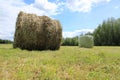 Bales of hay, packed and not packed at the countryside in the summer. Royalty Free Stock Photo