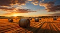 Bales of hay in a picturesque golden field, embodying the rural beauty of agriculture and the autumn harvest season Royalty Free Stock Photo