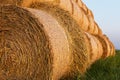 Bales of Hay Rolled Into Stacks. Rolls of Wheat in the Grass. Bales of straw.