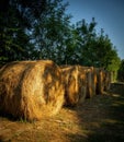 Bales of hay stacked together in a grassy meadow, creating an idyllic countryside scene Royalty Free Stock Photo