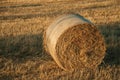 Bales of hay at sunset in a farm