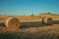 Bales of hay at sunset in a farm