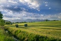 Bales of hey Royalty Free Stock Photo