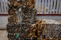 Bales of pressed cardboard