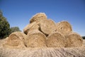 Bales of pressed straw are stacked on top of each other on the field Royalty Free Stock Photo