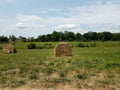 Bales Or Rolls Of Hay In Field On Farm
