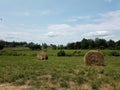 Bales Or Rolls Of Hay In Field On Farm