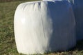 bales silage haylage foiled on field