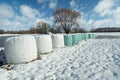 Bales with silage on the meadow, winter day Royalty Free Stock Photo