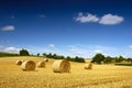 Bales of straw Royalty Free Stock Photo