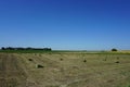 Bales of straw. Field in Vojvodina