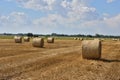 Bales of straw after harvest in stubble under a blue sky and white clouds Royalty Free Stock Photo