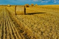 Bales of Straw On A Harvested Grainfield Royalty Free Stock Photo